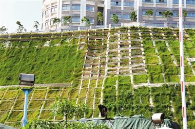 强化危险边坡治理：筑牢安全与生态双防线